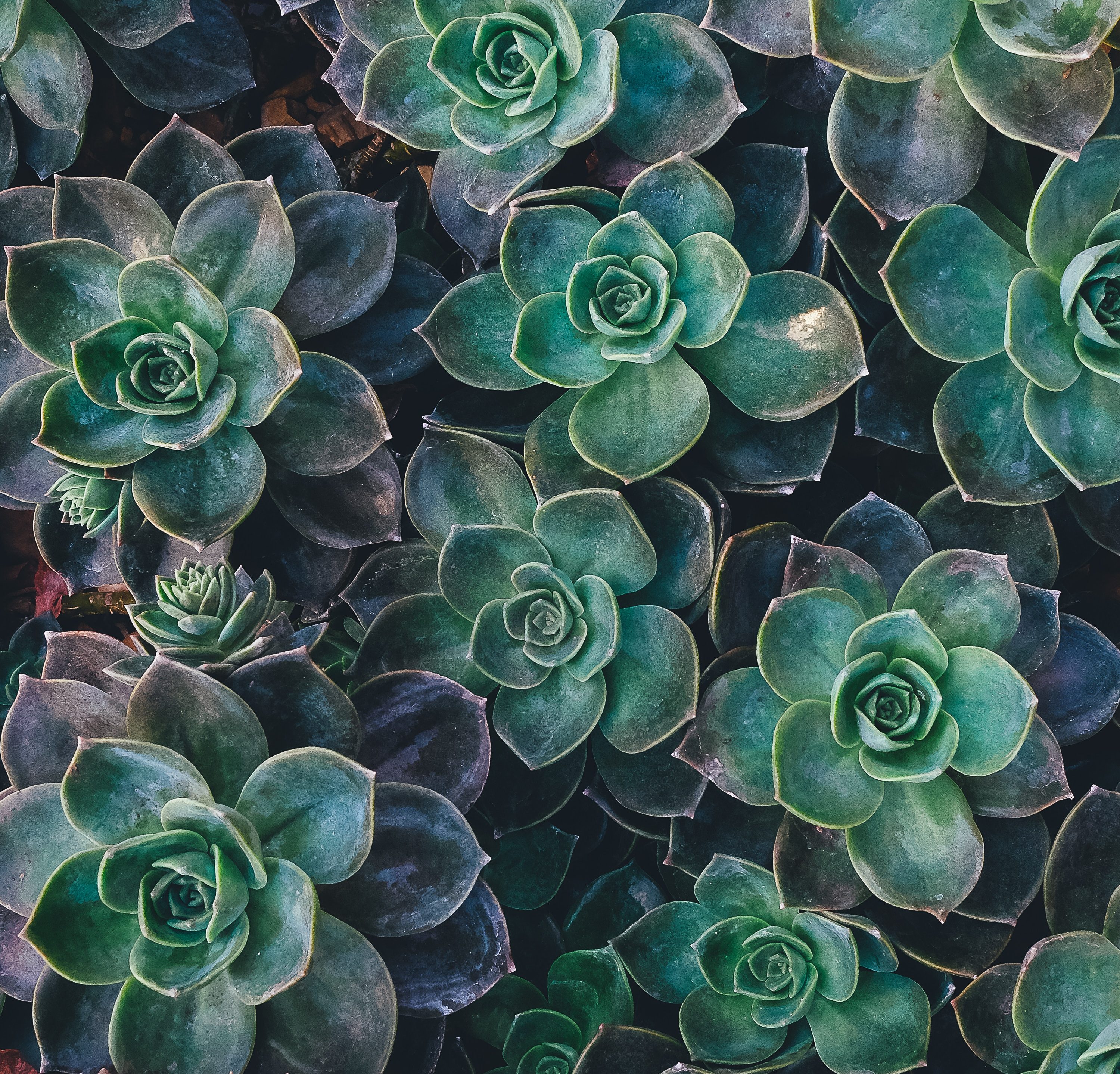 #WordsDrippingWithHoney